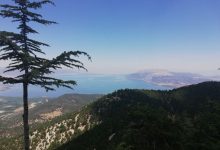 إن بعض أهل الحقيقة ينظرون إلى الموجودات من خلال اسم الله "الودود"، أما أخوكم الفقير هذا فقد حَظِي من أسماء الله تعالى باسمَي "الرحيم" و"الحكيم".