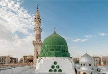 فإن أقوال الرسول ﷺ وأفعالَه وأحوالَه وأطوارَه وحركاته وسَكَناته هي منبع الدين ومصدر الأحكام والشريعة، وإذا كان أصحابه قد نقلوا إلينا شؤونه الظاهرة، فإن زوجاته الطاهرات قد نقلْنَ شؤونه الشخصية الخاصة.