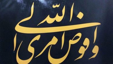 إنَّ أَهَمَّ مَشرَبٍ لَدَى أَهلِ الفَضِيلةِ هو الِاندِماجُ في المُجتَمَعِ بالعَجزِ والفَقرِ والتَّواضُعِ.. ولَقد مَضَت حَياتُنا وللهِ الحَمدُ وما زالَت كَذلِك تَمضِي على وَفقِ هذا المَشرَبِ، فأَنا لا أَدَّعِي مُتَفاخِرًا أنَّني صاحِبُ فَضِيلةٍ، ولكِن أَقُولُ تَحَدُّثًا بنِعمةِ اللهِ عَلَيَّ وبنِيّةِ الشُّكرِ له سُبحانَه: قد أَحْسَنَ إِليَّ جَلَّ وعَلا بفَضلِه وكَرَمِه فوَفَّقَني إلى العَمَلِ لِلعُلُومِ الإِيمانيّةِ والقُرآنيّةِ وإِدراكِها وفَهْمِها، فصَرَفتُ طَوالَ حَياتِي -للهِ الحَمدُ- هذا الإِحسانَ الإِلٰهِيَّ بتَوفِيقٍ مِنه تَعالَى، في مَصالِحِ هذه الأُمّةِ المُسلِمةِ، وبَذَلتُه في سَبِيلِ سَعادَتِها، ولم يَكُ في أيِّ وَقتٍ وَسِيلةً لِلإِكراهِ والتَّسَلُّطِ على الآخَرِينَ.