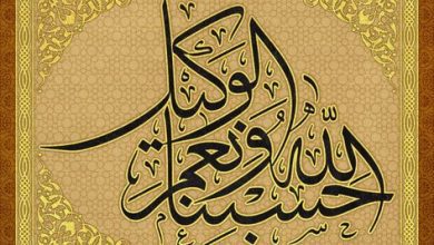 وتساءلتُ: ما هي اللذةُ والسعادةُ الحقيقيةُ لحياتي في هذه الدنيا؟ فراجعتُ الآية الكريمة: ﴿حسبُنا الله ونِعم الوكيل﴾.. فرأيتُ أن أصفى لذةٍ وأخلصَ سعادةٍ لحياتي هذه هي في الإيمان.. أي في إيماني الجازم بأنني مخلوقُ ربٍّ رحيمٍ خلقَني ويحييني، وأنني مصنوعه ومَربوبه وتحت نظره، ومحتاجٌ إليه في كل وقت، وأن ذلك الرب هو ربي وإلهي، وأنه رحيمٌ بي غايةَ الرحمة، رؤوفٌ بي غايةَ الرأفة.. فإيماني هذا لذَّةٌ وسعادةٌ كافيةٌ وافية، دائمةٌ نقيةٌ لا يشوبها ألم.